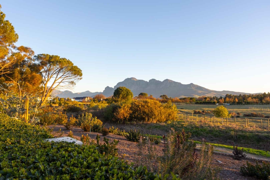 6 Bedroom Property for Sale in Val De Vie Estate Western Cape